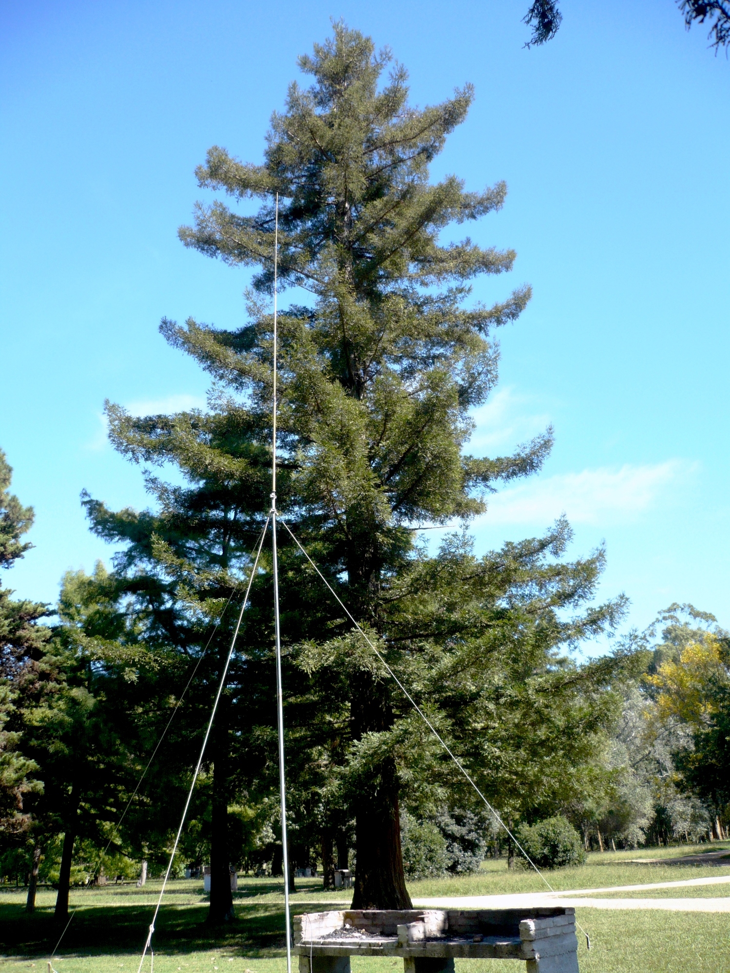 FDS 2008_0230.JPG