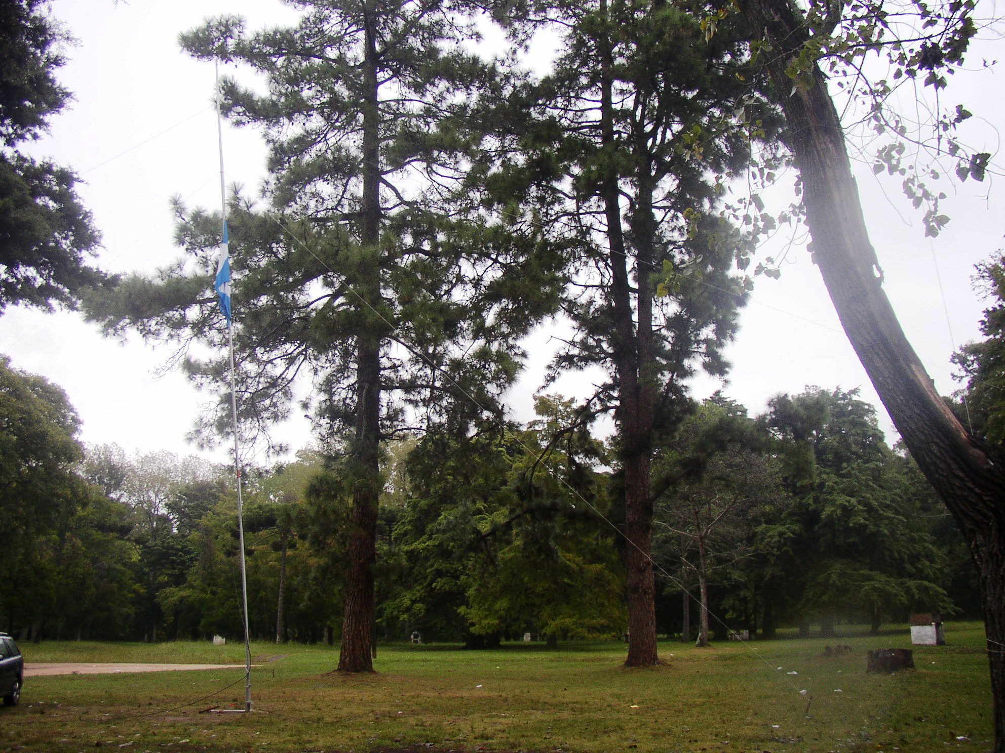 FDS 2009_2060.JPG