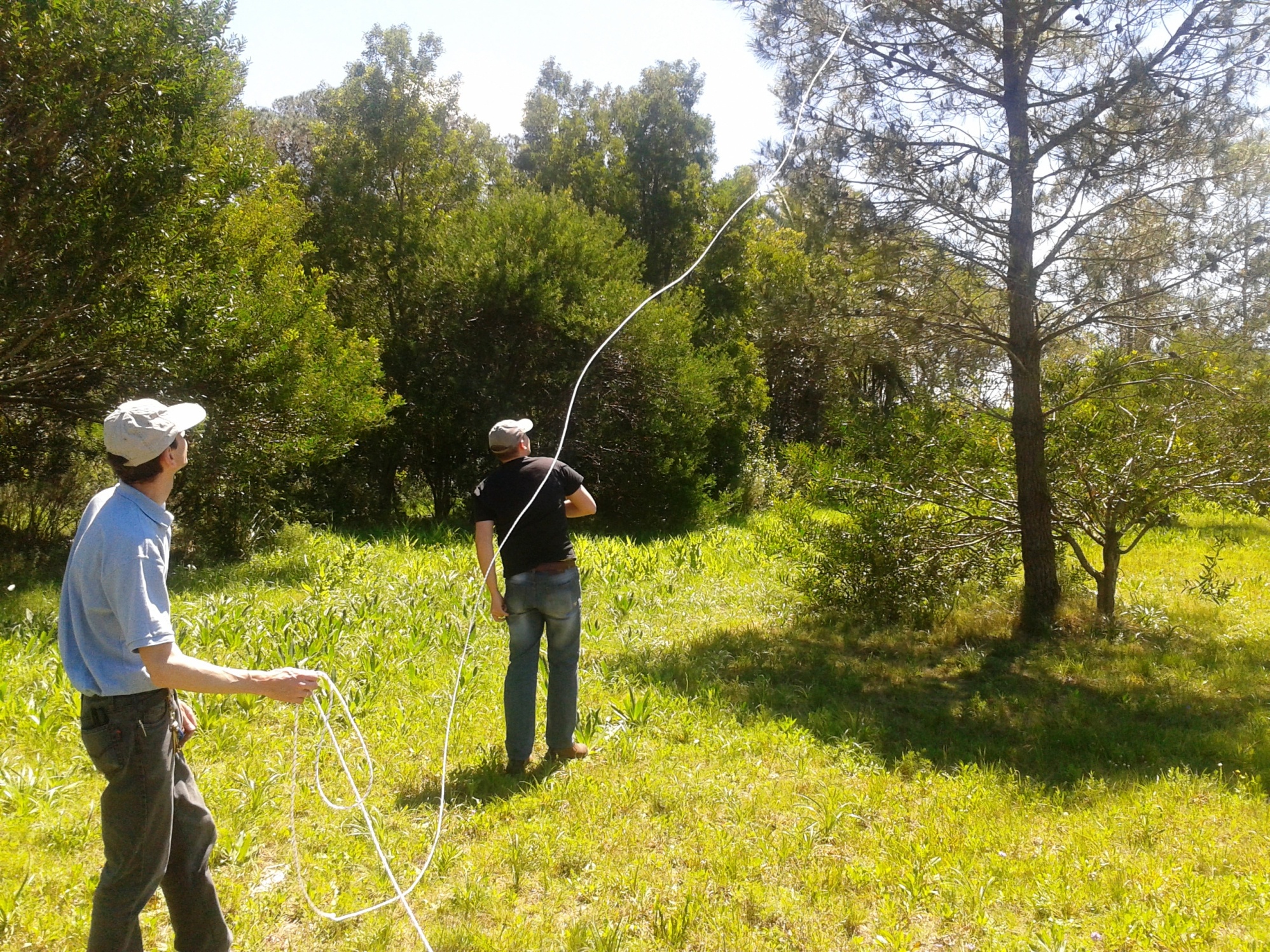 ALM 2012_4009.JPG