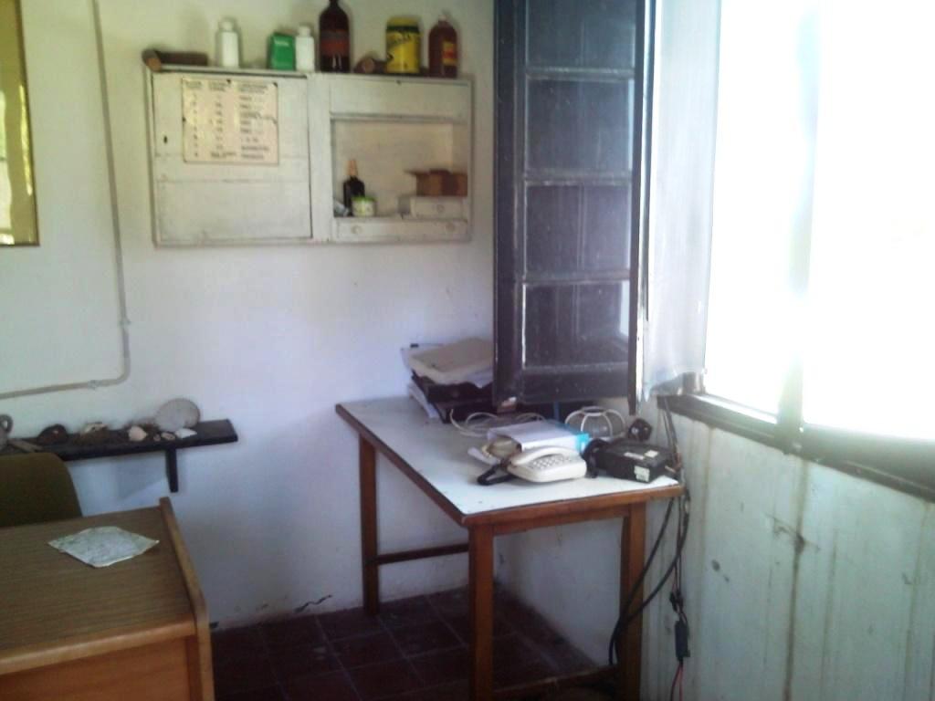 AAIG 2012_2526.JPG
