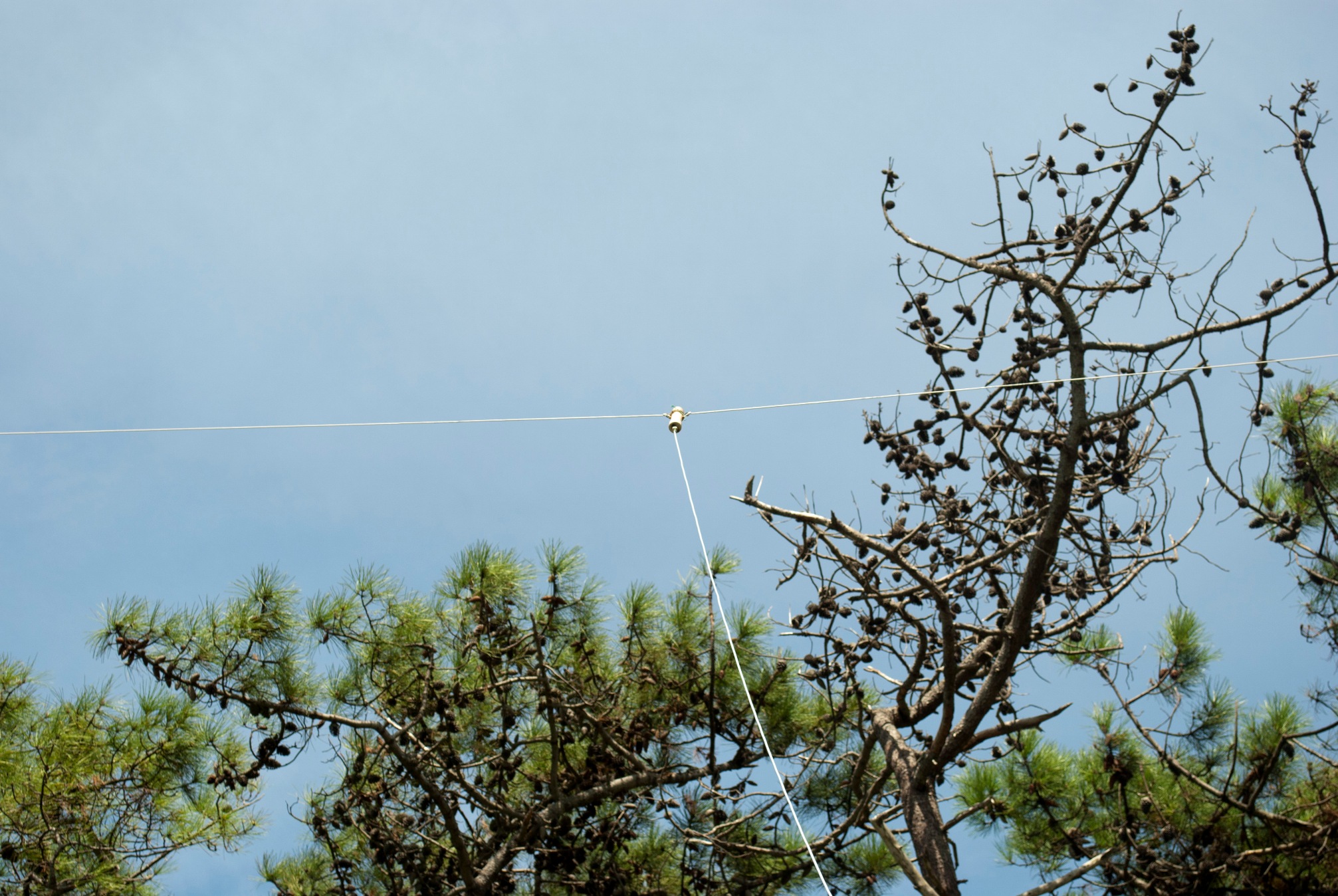 CW4R 2012_0046.JPG