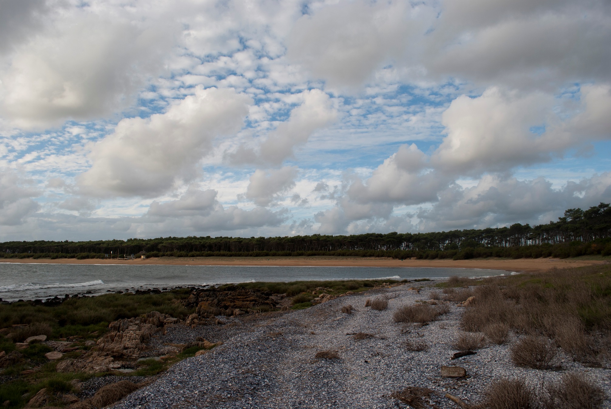CW4R 2012_0074.JPG