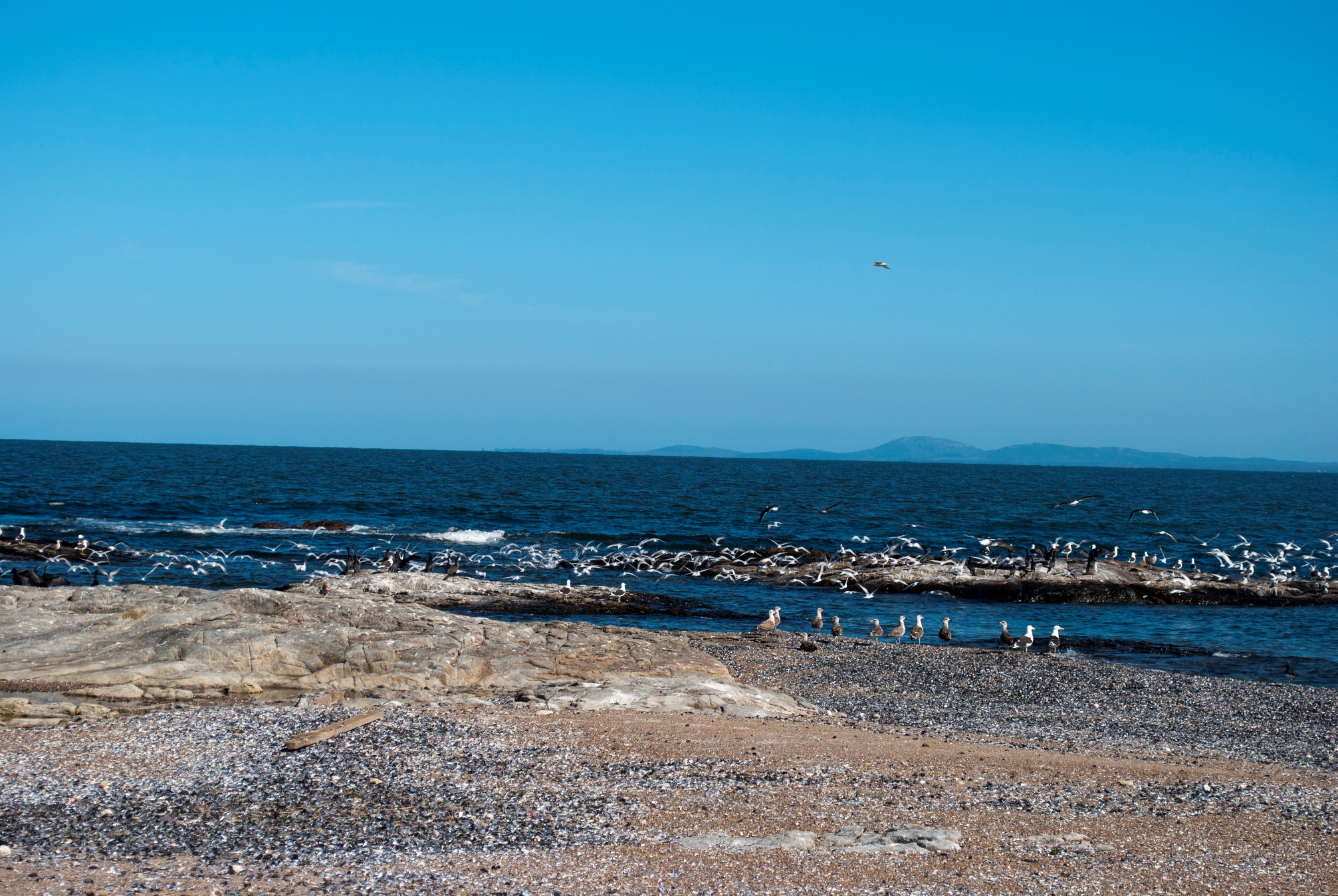CW4R 2012_0113.JPG