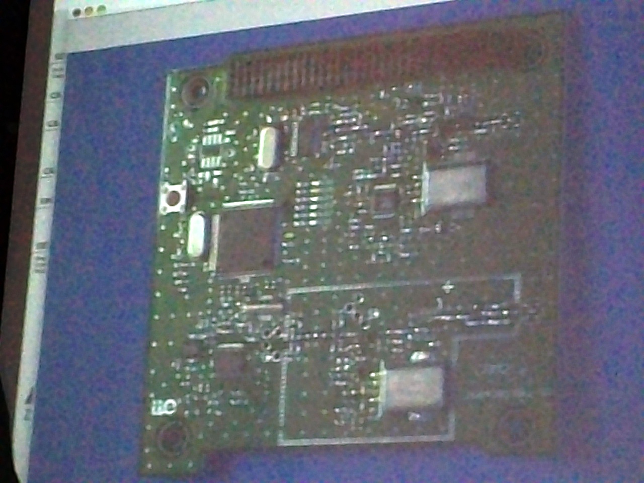 SIISS 2013_1053.JPG