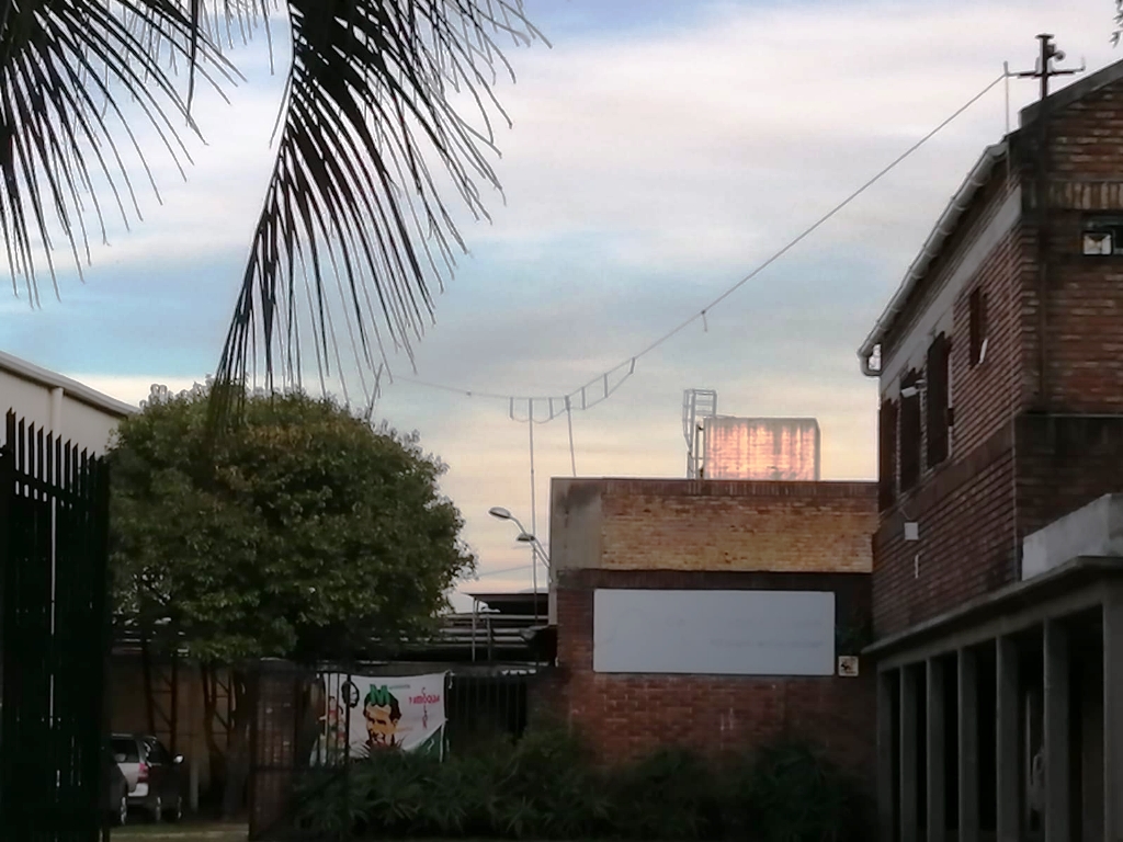 CW1PJM 2019_1001.JPG