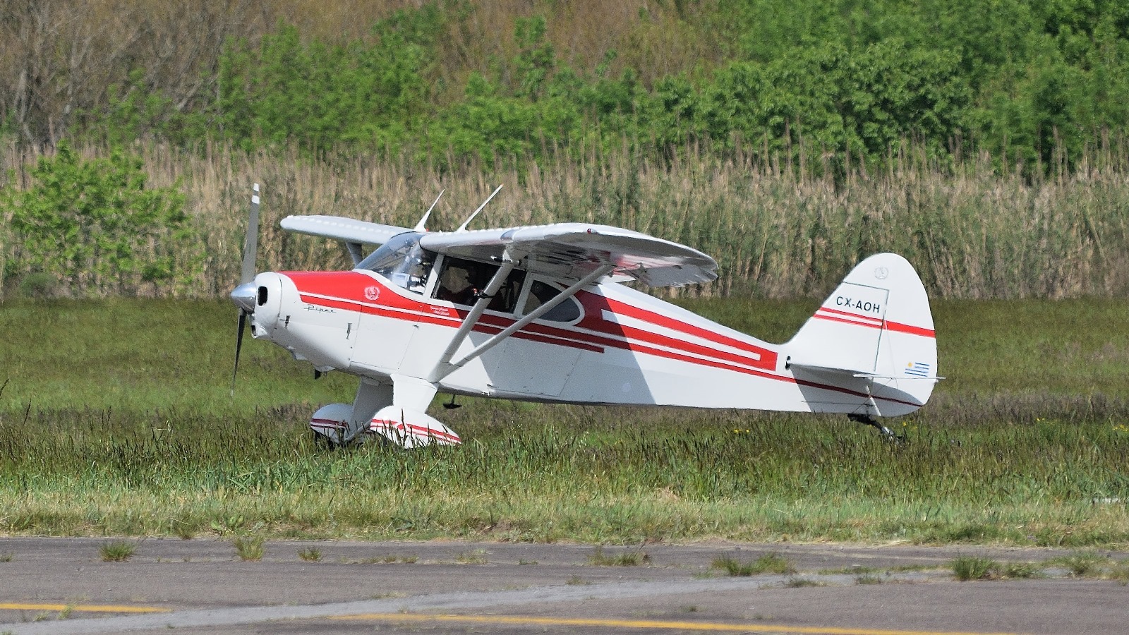 Foto 7-10-24, 11 04 44 a m.jpg