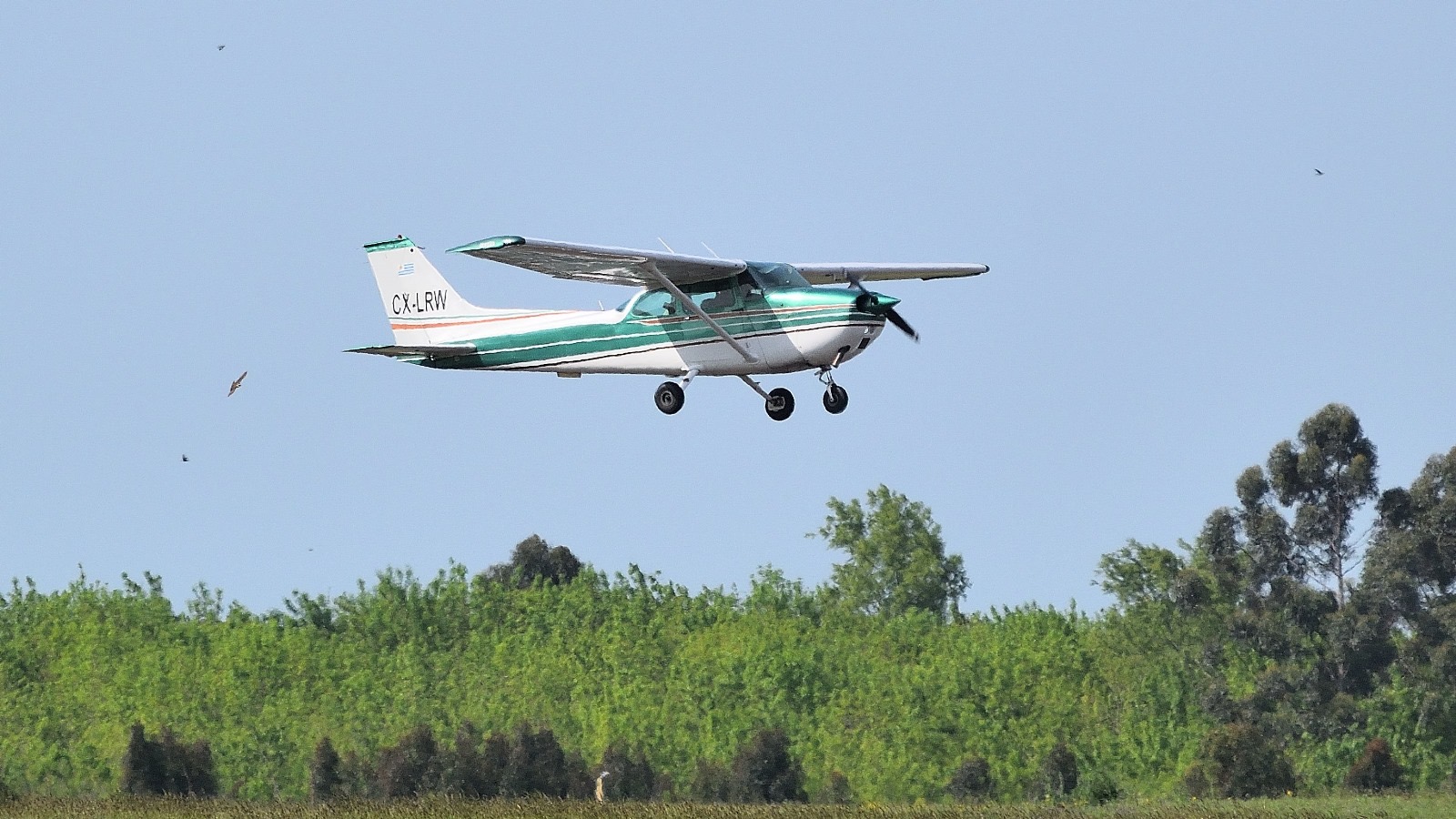 Foto 7-10-24, 11 04 46 a m (3).jpg