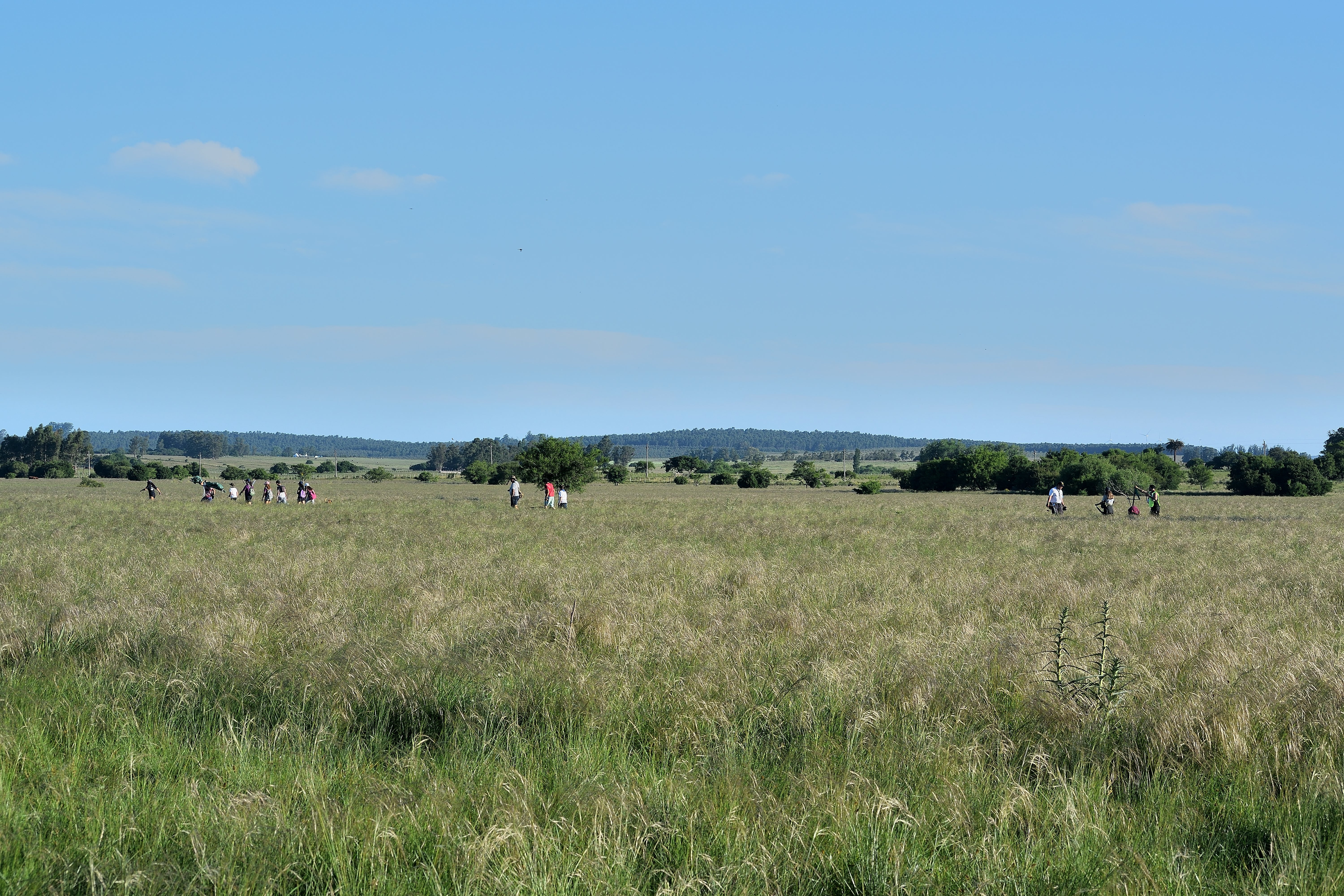 DSC_0013_371.JPG