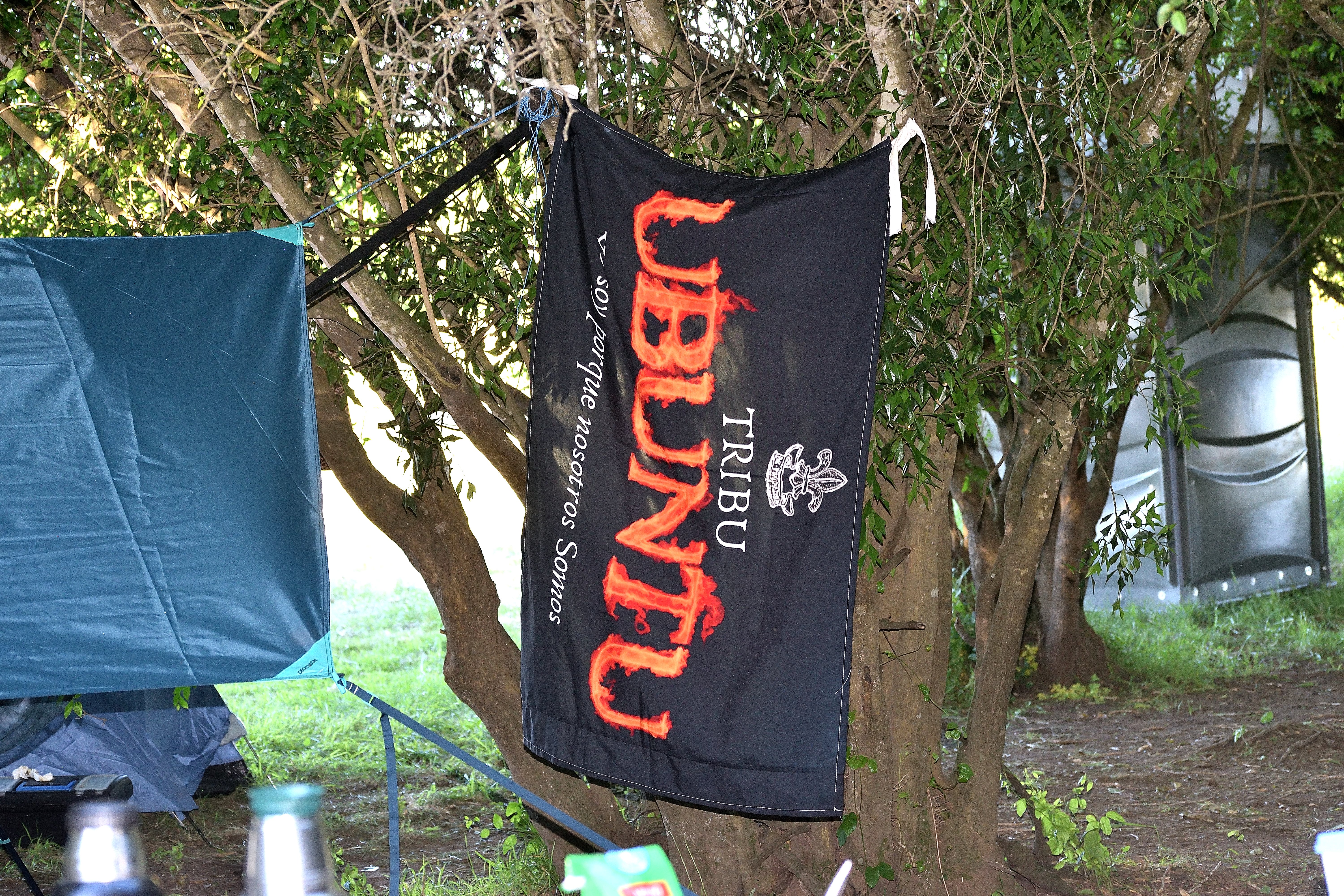 DSC_0035_390.JPG