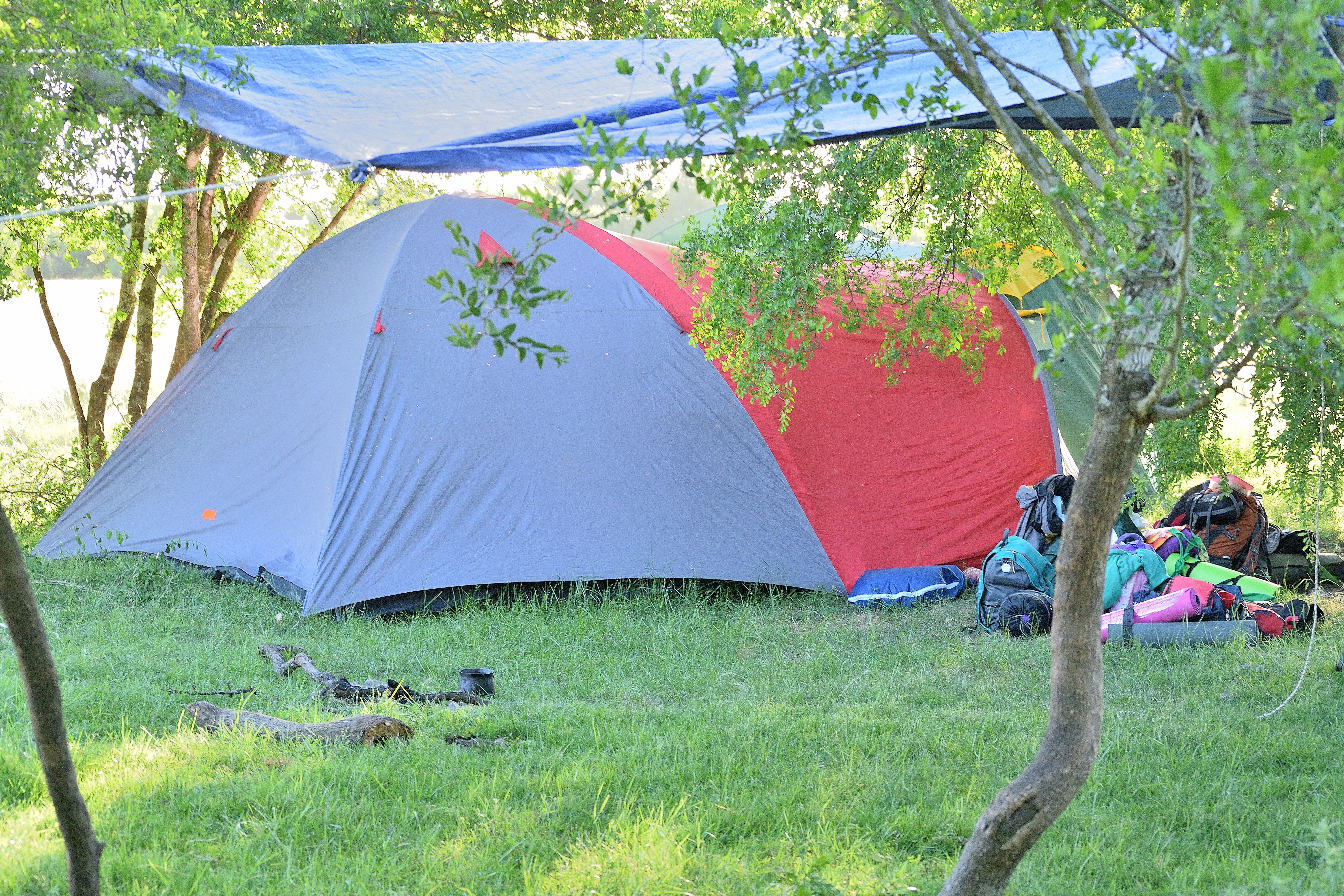 DSC_0049_404.JPG