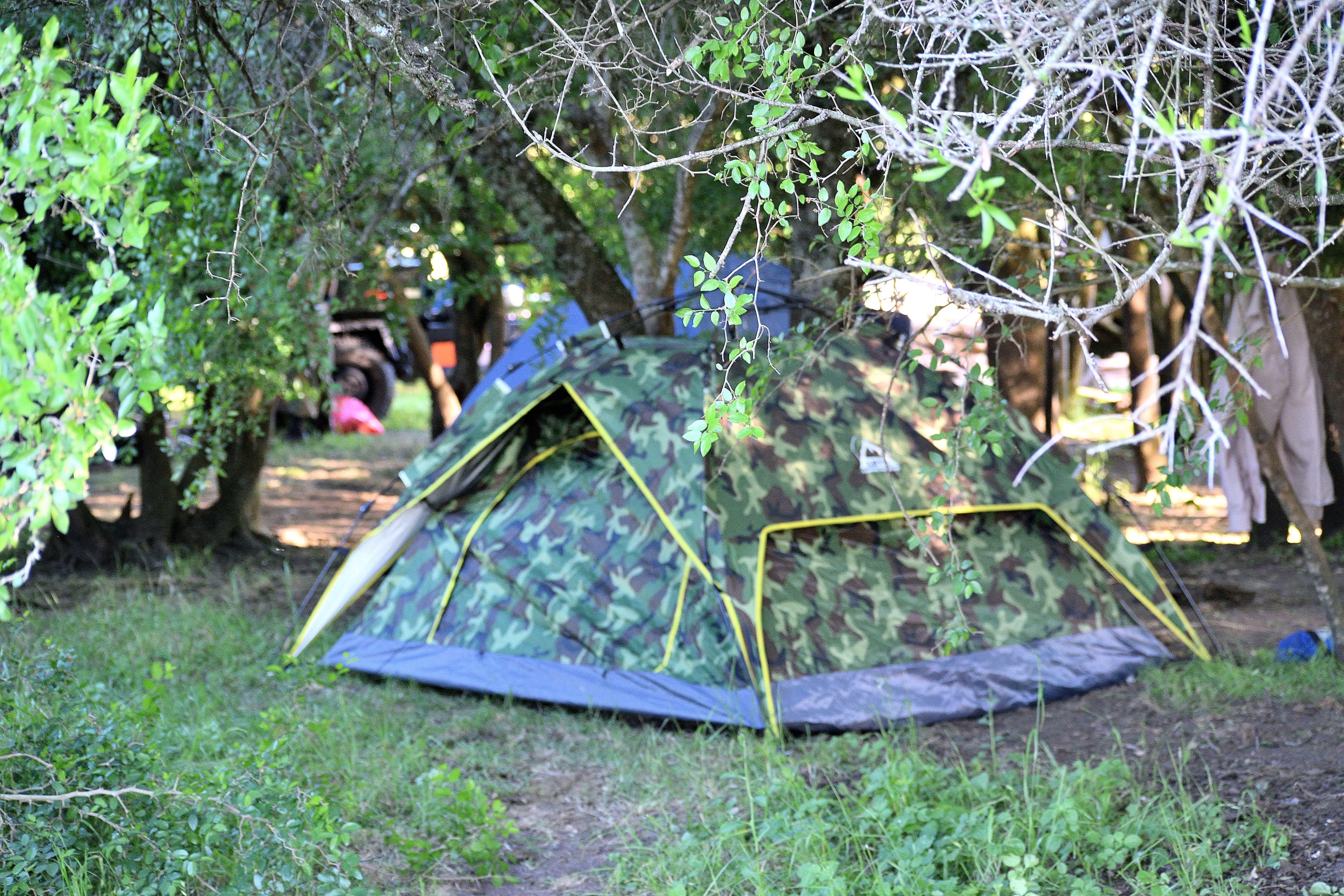 DSC_0057_412.JPG