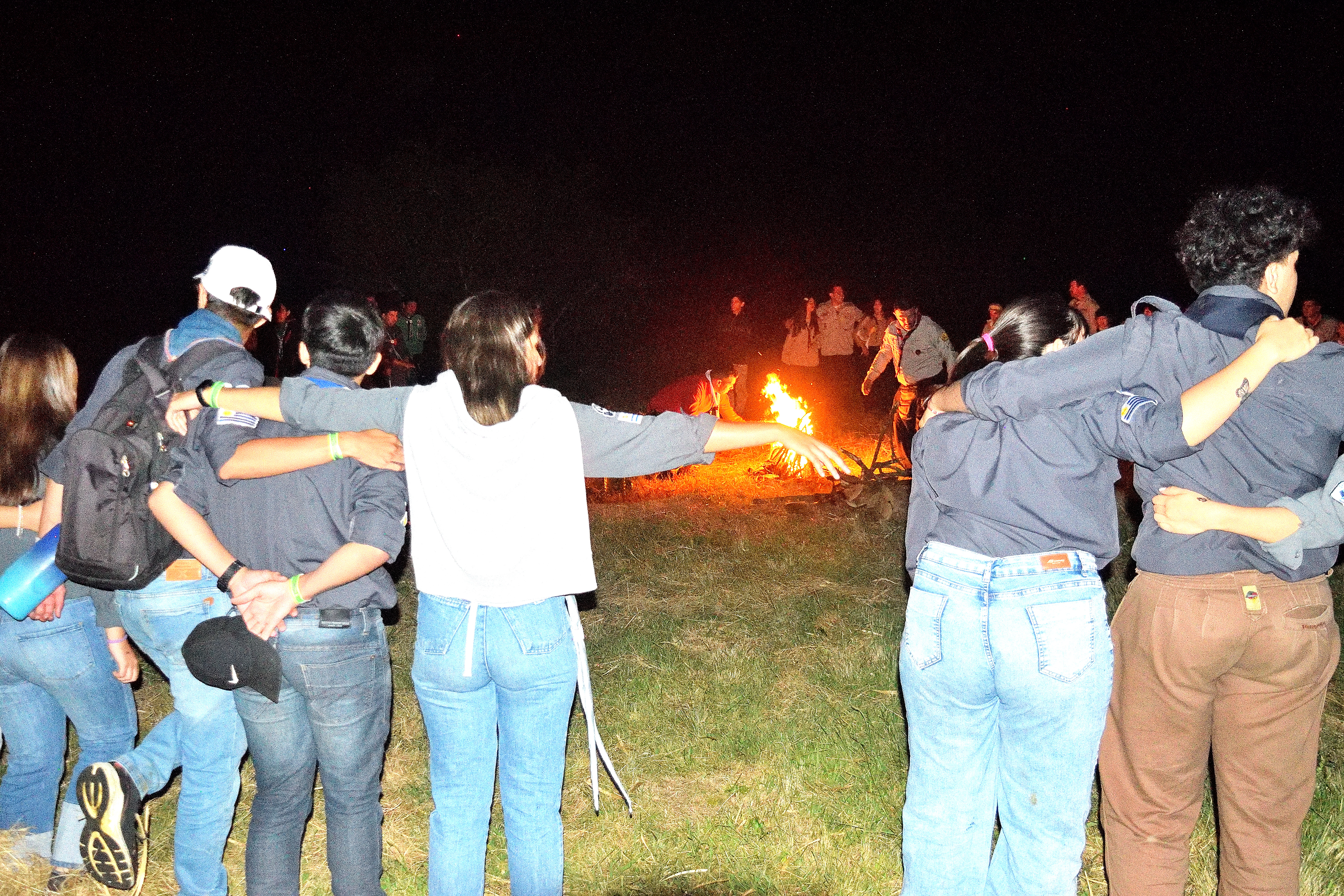 DSC_0157_490.JPG