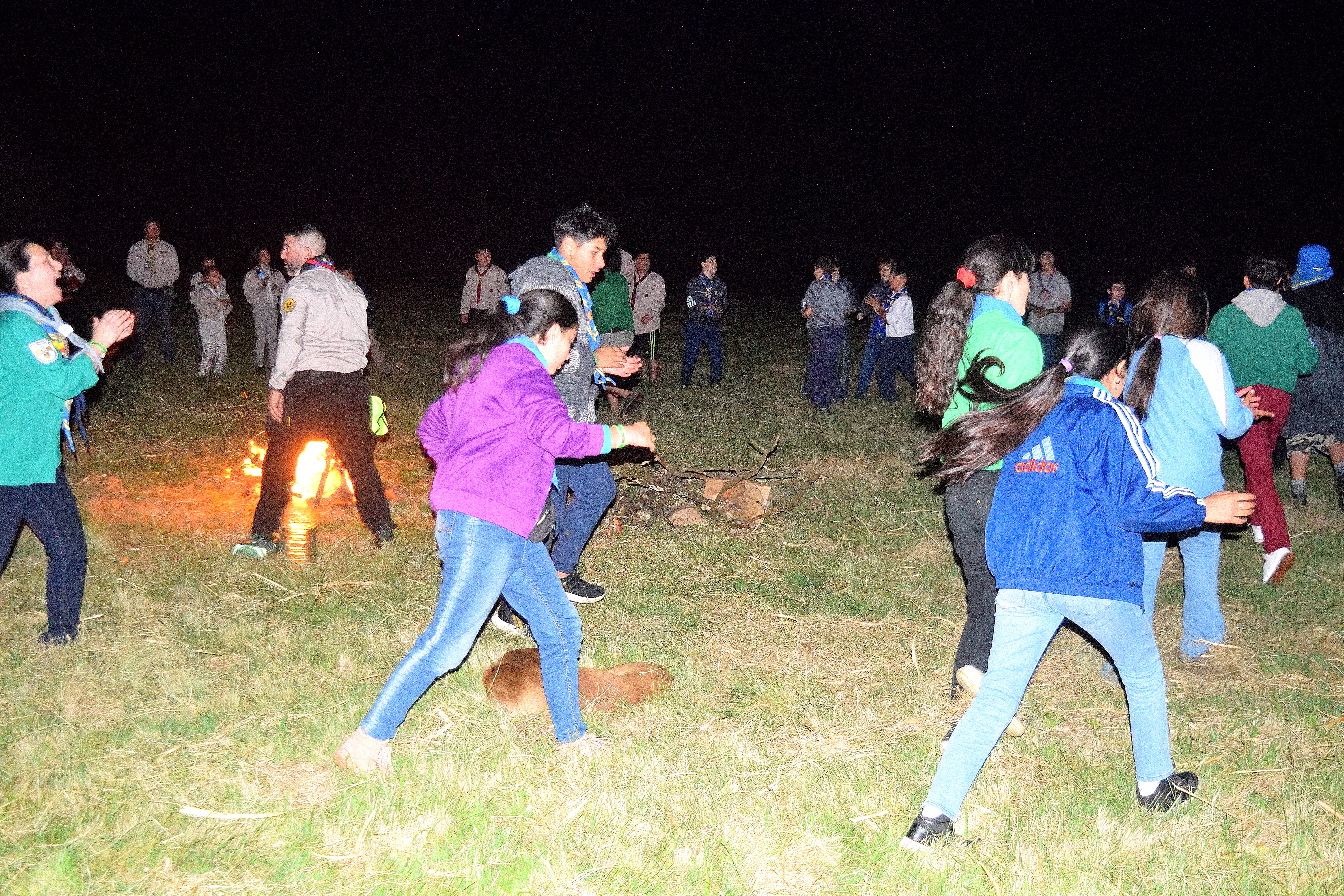 DSC_0186_519.JPG