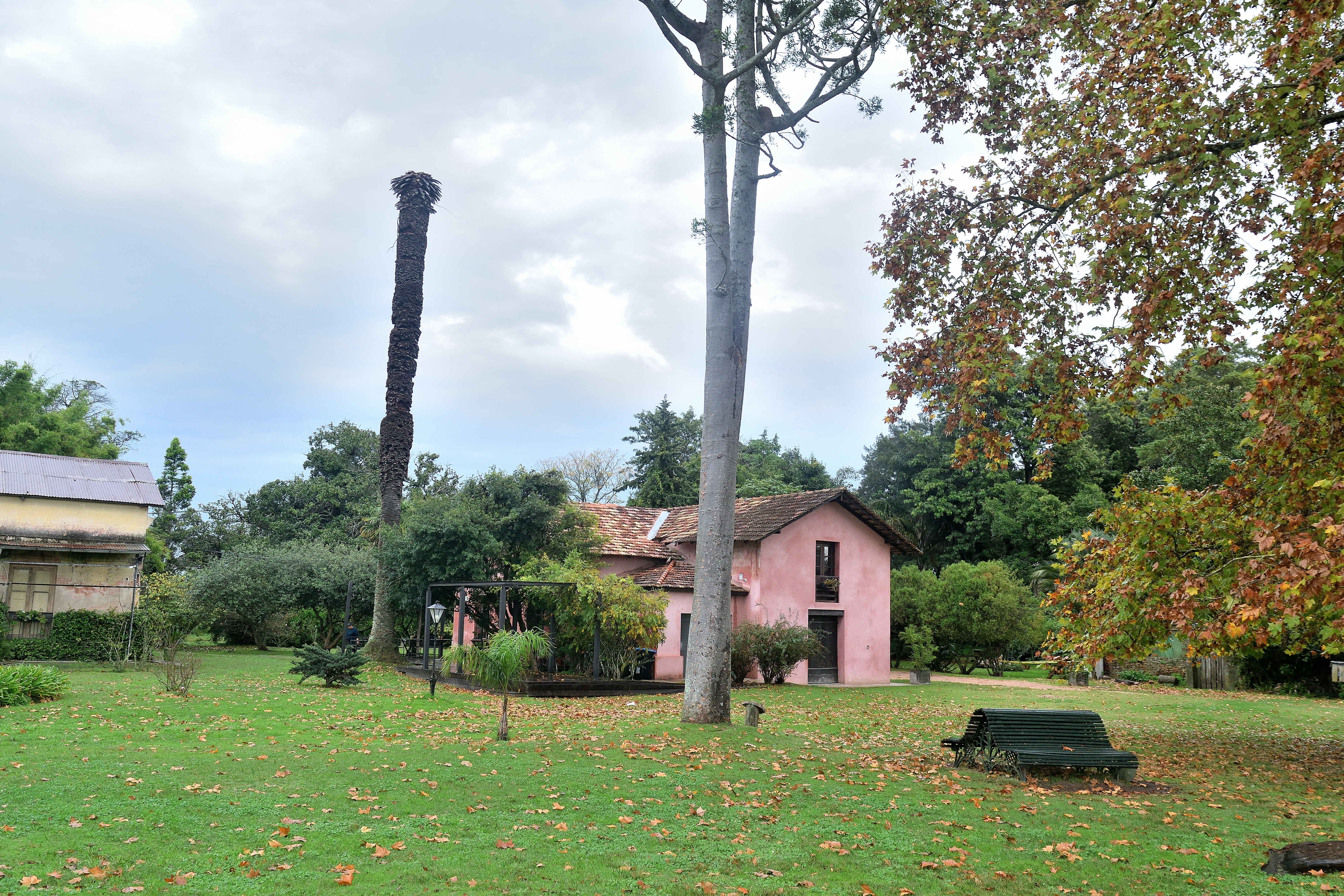 DSC_3990.JPG