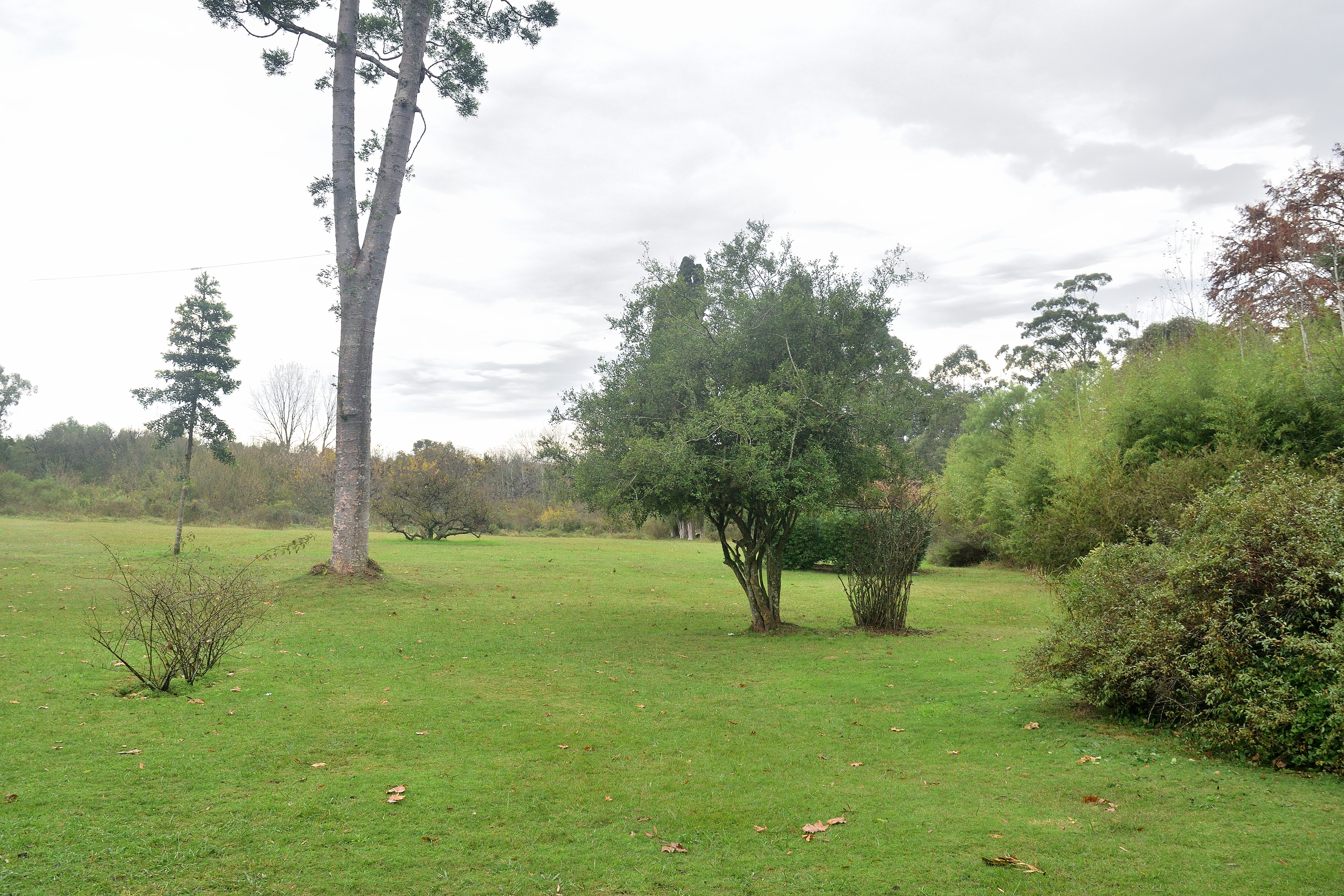 DSC_4012.JPG