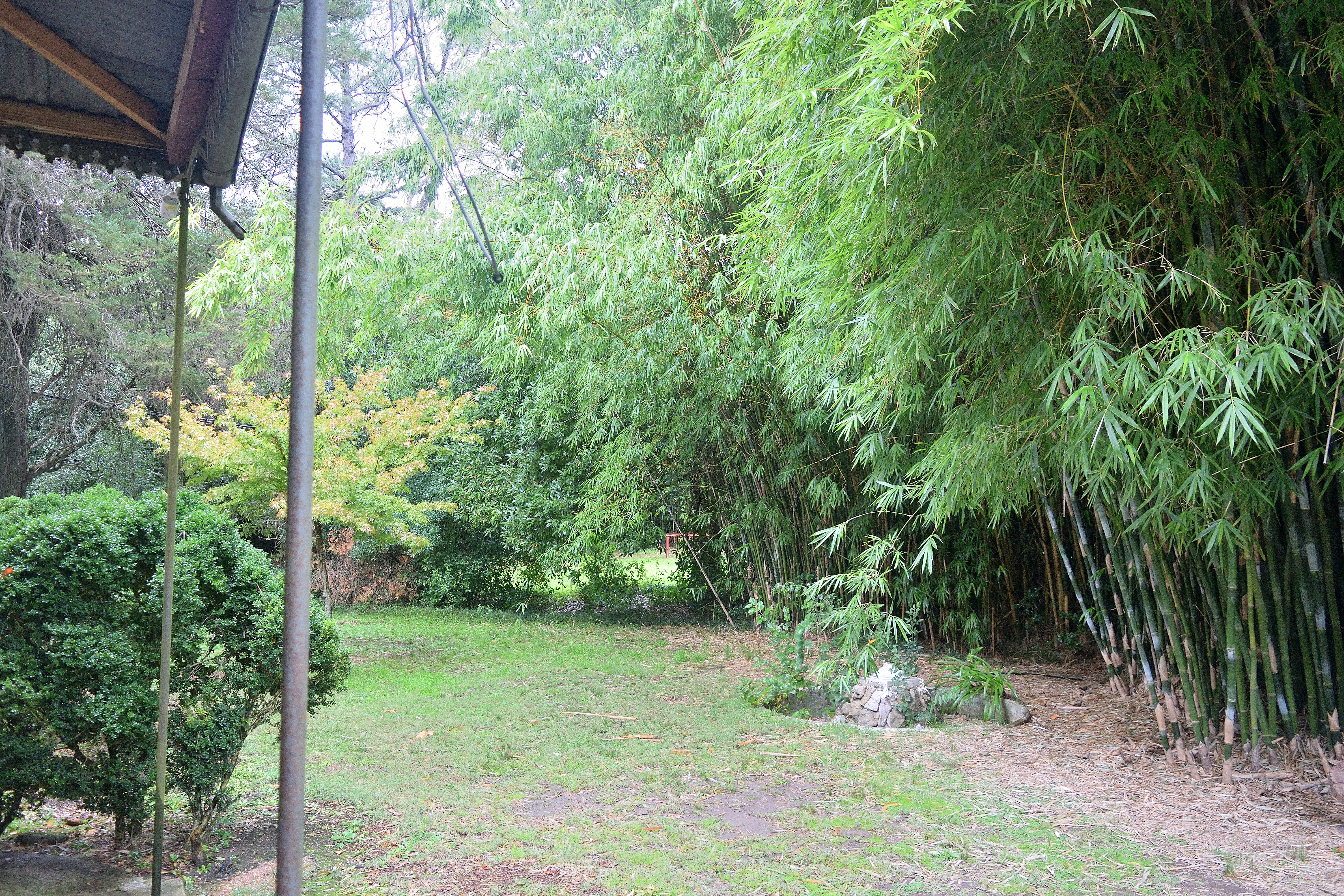 DSC_4016.JPG