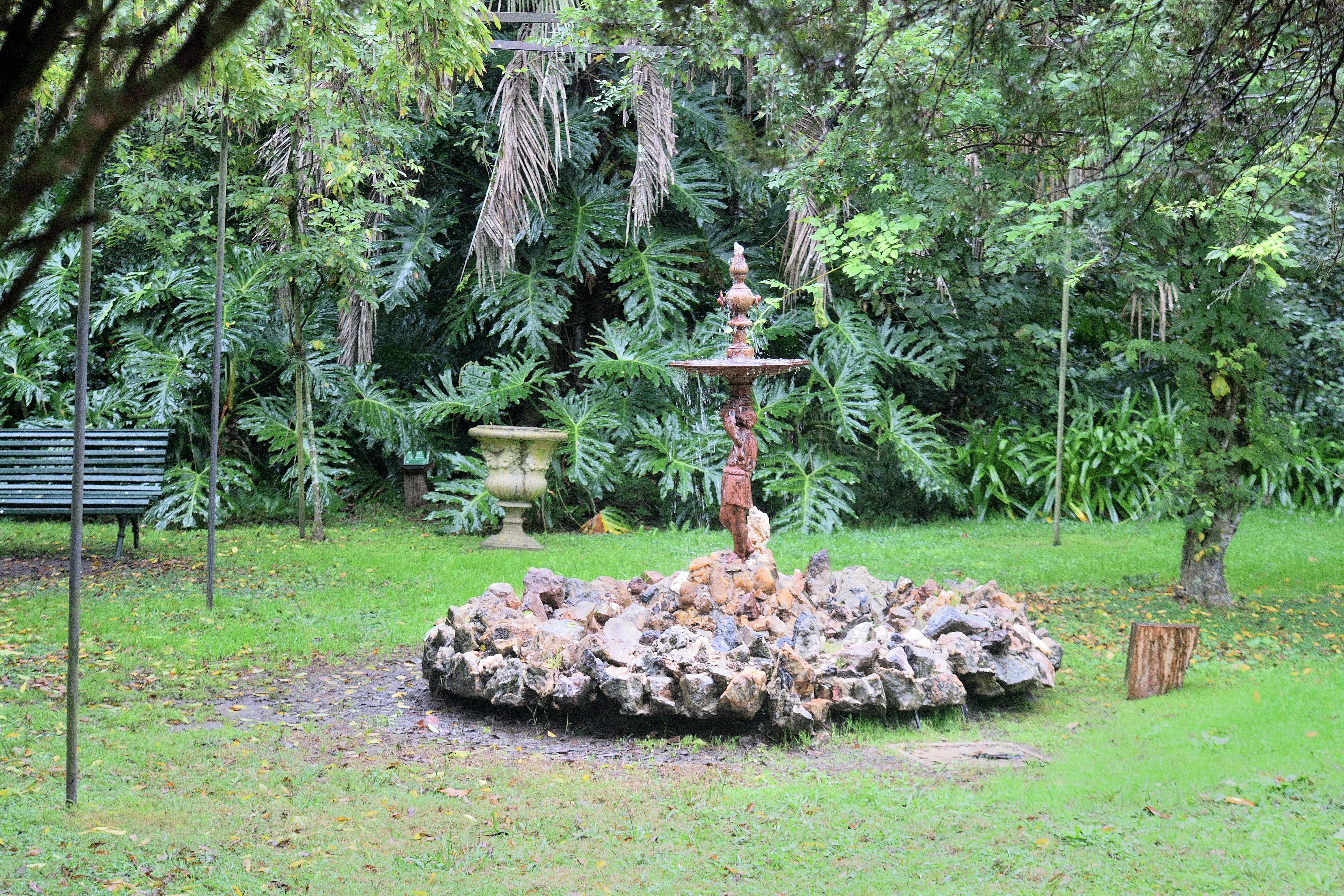 DSC_4022.JPG