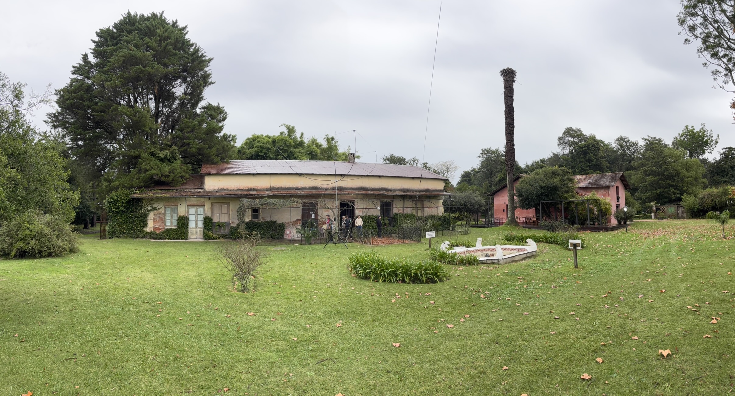 IMG_6619.JPEG