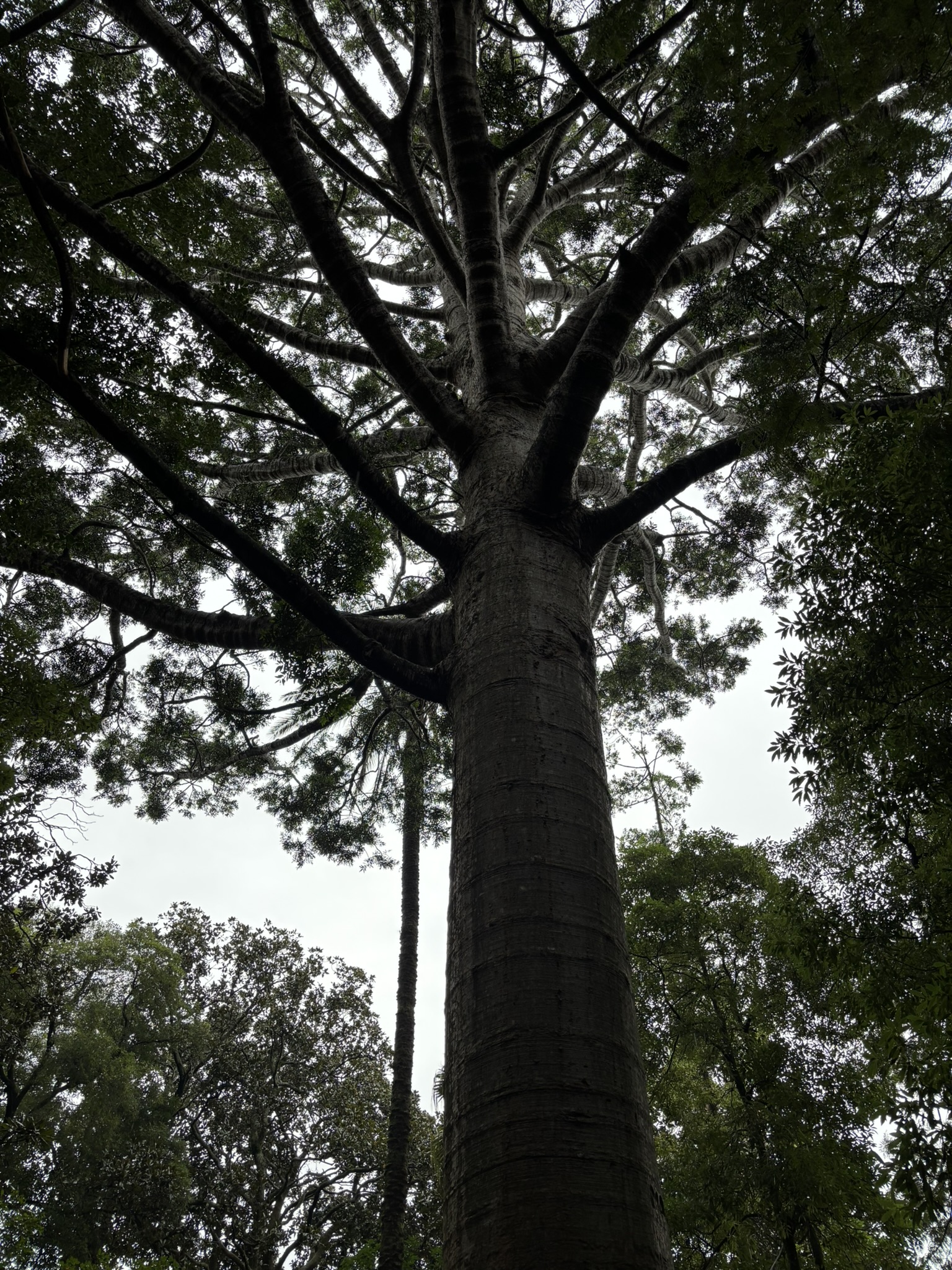 IMG_6622.JPEG