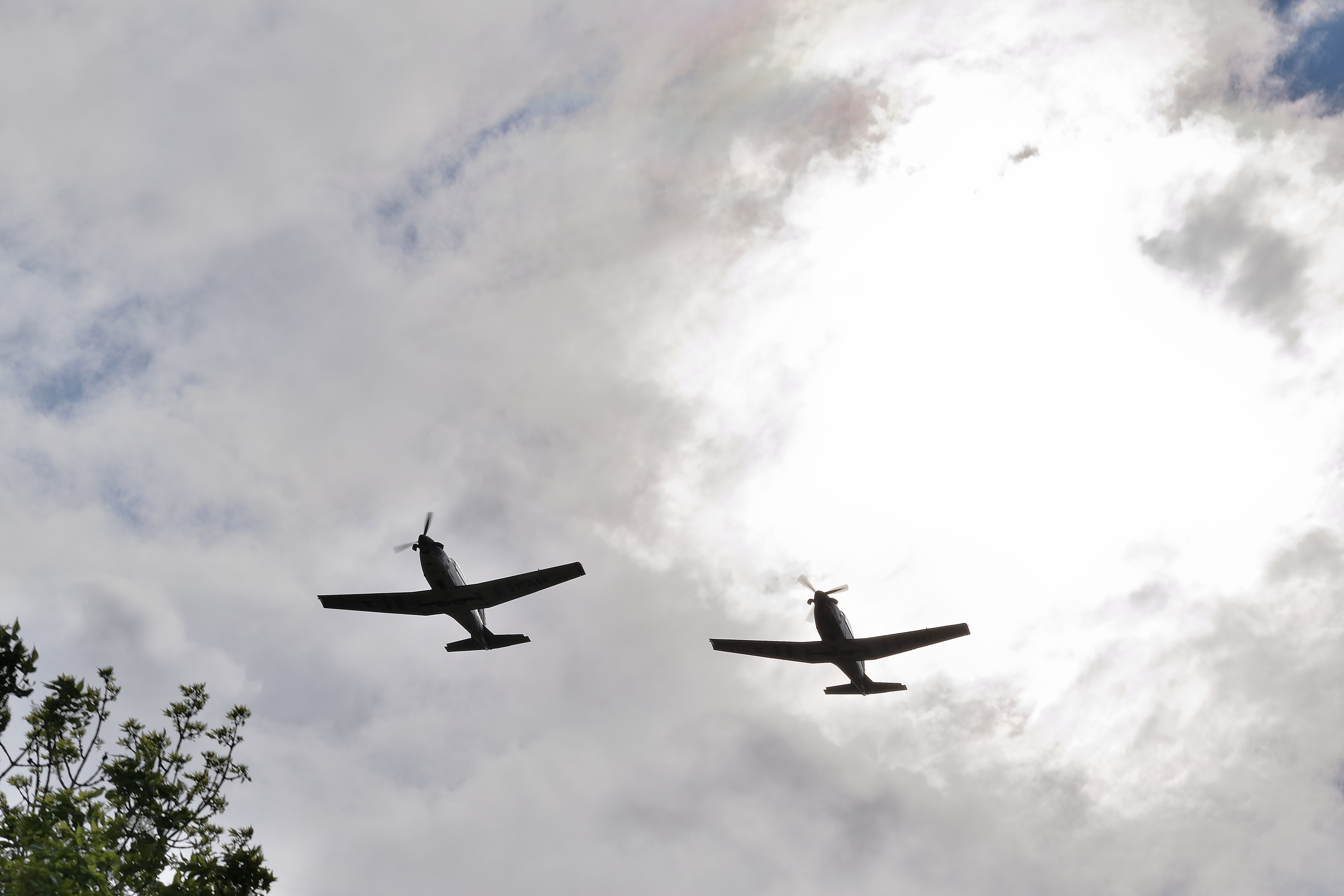 DSC_6239.JPG