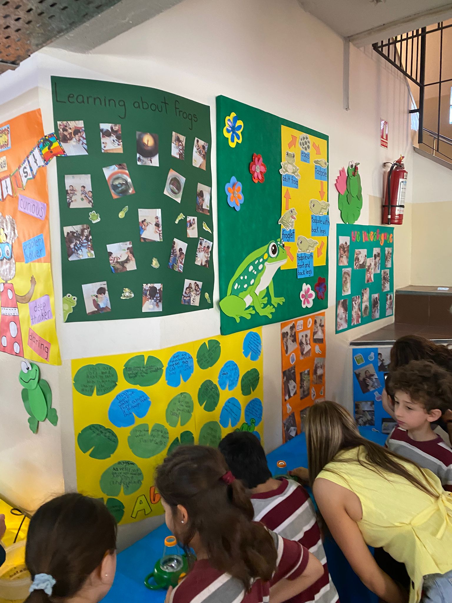 Imagen de WhatsApp 2025-11-25 a las 17.41.31_2dd248ce.jpg